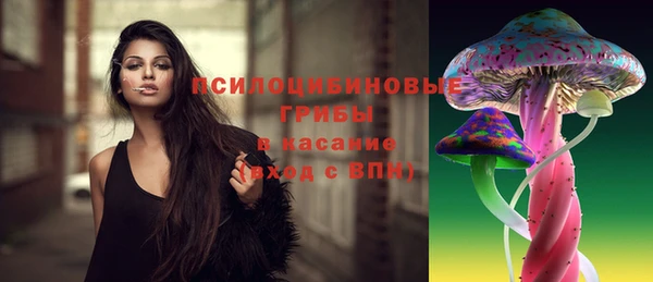 твердый Алзамай