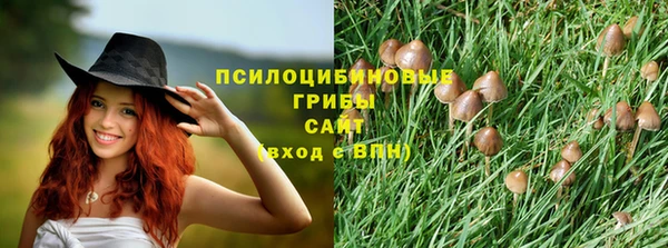 твердый Алзамай