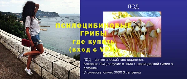 твердый Алзамай