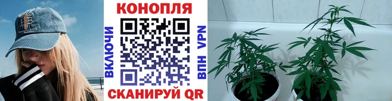 Марихуана марихуана  Омутнинск 